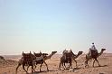 WT 1600 231-15 Egypt